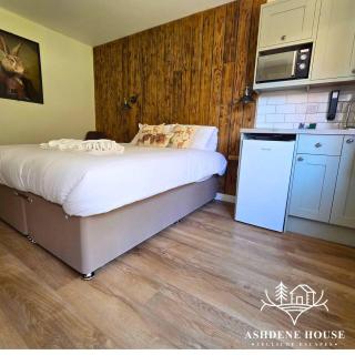 The Woodland Hare - Room 5 - New Forest - 5