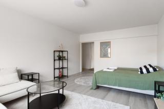 Renovated 2-bedroom apartment at JAMK main campus - 5