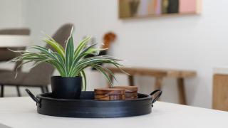 Adina Oasis Top-Floor Apartment - 1