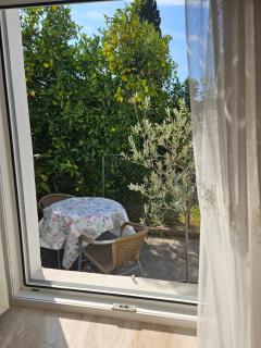 Citrus Centre Tivat - 2