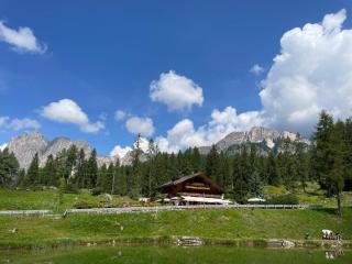 Appartamento in chalet ampezzano - 8