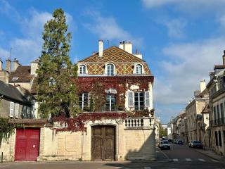 Studio coeur de Dijon - 2