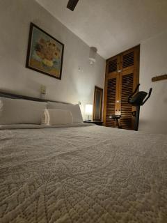 Limón apartment in Puerto Vallarta - 8