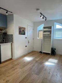 Cosy and Spacious Studio in Richmond London - 1