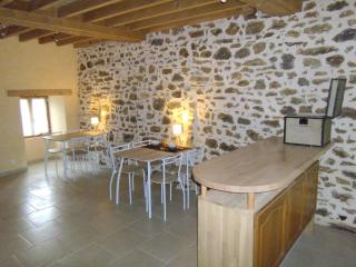 Les puisayennes - 1