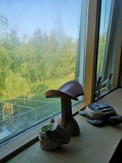 South African lodge - 8