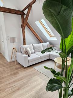 Apartamenty SWAN - 6