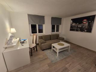 FERIENWOHNUNG 52m2 APARTMENT in ZITTAUER STADTZENTRUM INNENSTADT INNENRING TOP LAGE - WOHNEN AUF ZEIT IN ZITTAU - 2 RAUM WOHNUNG EINKAUFSSTRASSE - 9
