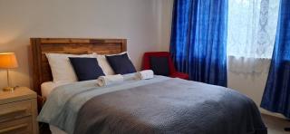 Modern Sunny & Comfy Rooms near Henderson, Auckland - 4