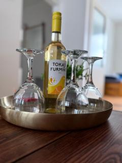 Apartmán Šurany - 7