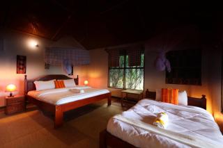 Gorilla Retreat Ecolodge -Bwindi Forest - 5