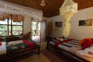 Gorilla Retreat Ecolodge -Bwindi Forest - 1