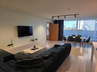 Premium Terrace Apartment Kaunas Žaliakalnis - 3