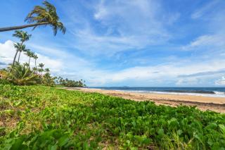 Palmas del Mar Getaway - 2