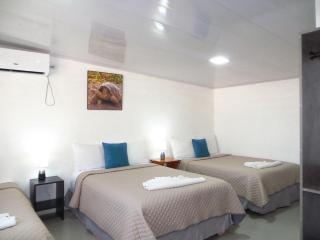Dreams Studios & Apartments - 0