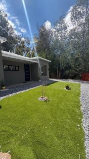 Bosque, mar y tranquilidad - 2