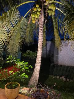 Love Guadeloupe - 9