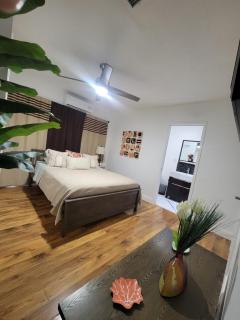 My Tropical Paradise with pool in Miami - 9