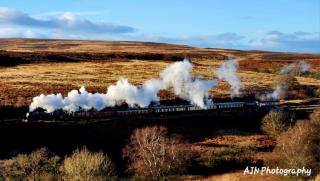 Ingleside Cottage - North Yorkshire Moors - 7