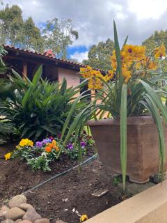 Sítio das Flores - 8