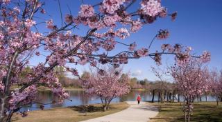 SF Valley Comfort | Front duplex home> Lake Balboa - 3