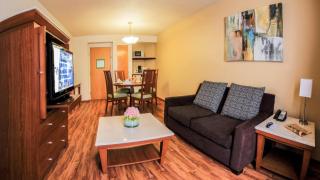 Holiday Inn Orizaba by IHG - 3