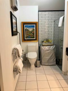 Lakefront Mountain Views Stylish unit - 4