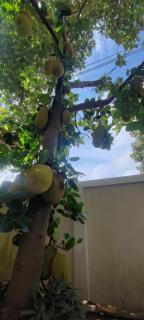 บ้านพักในสวนK&N2 - 6