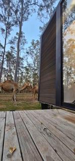 Hidden Camp's Tiny House by Tiny Away - 9