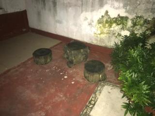 Ipanema's Heart VIP - 9