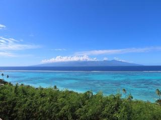 Un écrin de paix au soleil et proche de la mer - 8