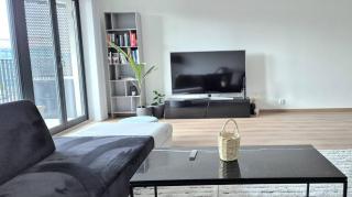2 bedroom appartment with big space 91m2 - 8
