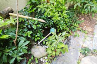 Shinyashiki Guest House - Vacation STAY 78619v - 1