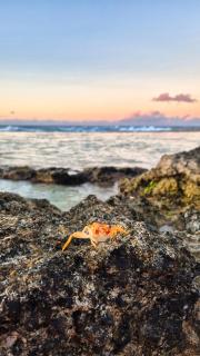 Charmant logement avec accès privé à la plage - 1