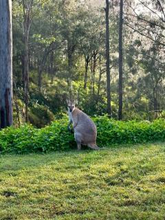 Hinterland Heights - 2