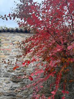 Residenza Il Castello - 1