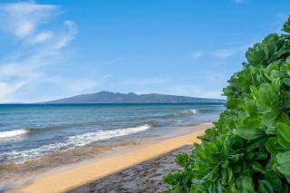 Mahana 302 · MA302 Spectacular BeachFront Studio w Pool AC - 5
