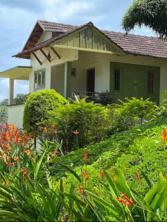 Ayurnest Pool Resort Wayanad - 4