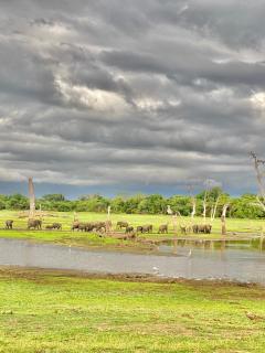 Sheran Safari House - 7