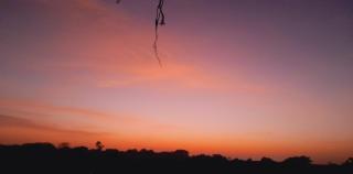 Apartamento COP 30 ao lado da Embrapa - 5