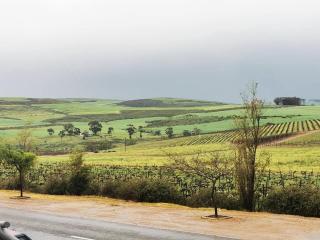 The Blue Horizon House - Botrivier - Caledon - 8