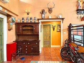 ริม กรีน โบนันซ่า - 4