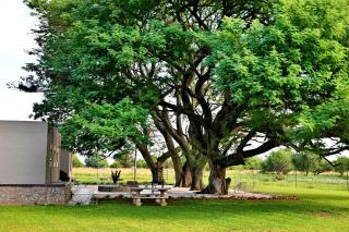 Buffalo Thorn Tree Lodge - 3