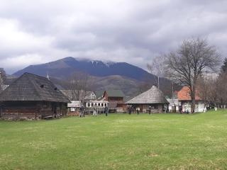 Садиба ,,У Мітріци'' - 8