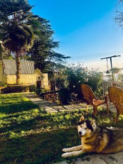 Aaram Baagh Simla - 4