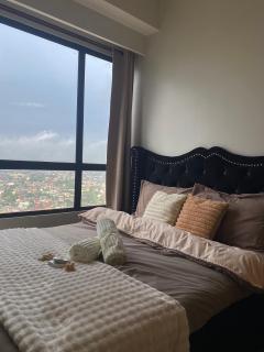 Percival's Sleek Spot - 5