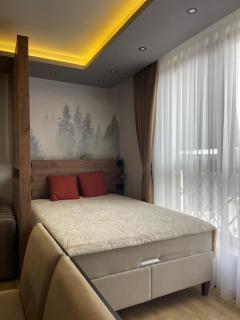 Evergreen Lux - 7