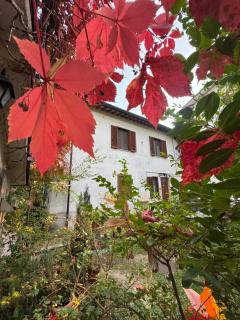 Stella Polare B&B - 5