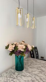 Stylish Guest home - 6