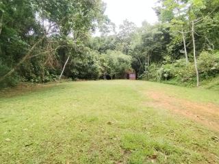 Wildlife Reserve La Ceiba Ecoadventures - 4